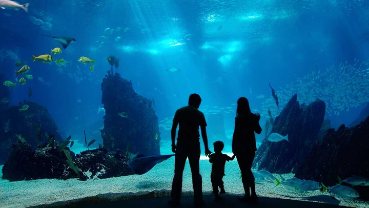 Family at aquarium.