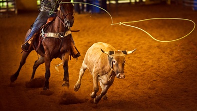 Go Rodeo Promotion