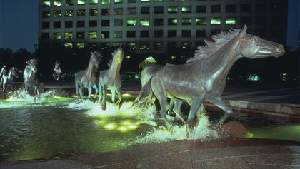 Horses of Las Colinas Texas