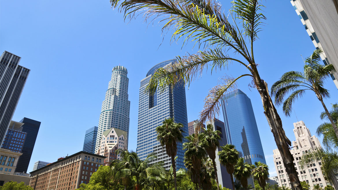 Los Angeles with palm tree 