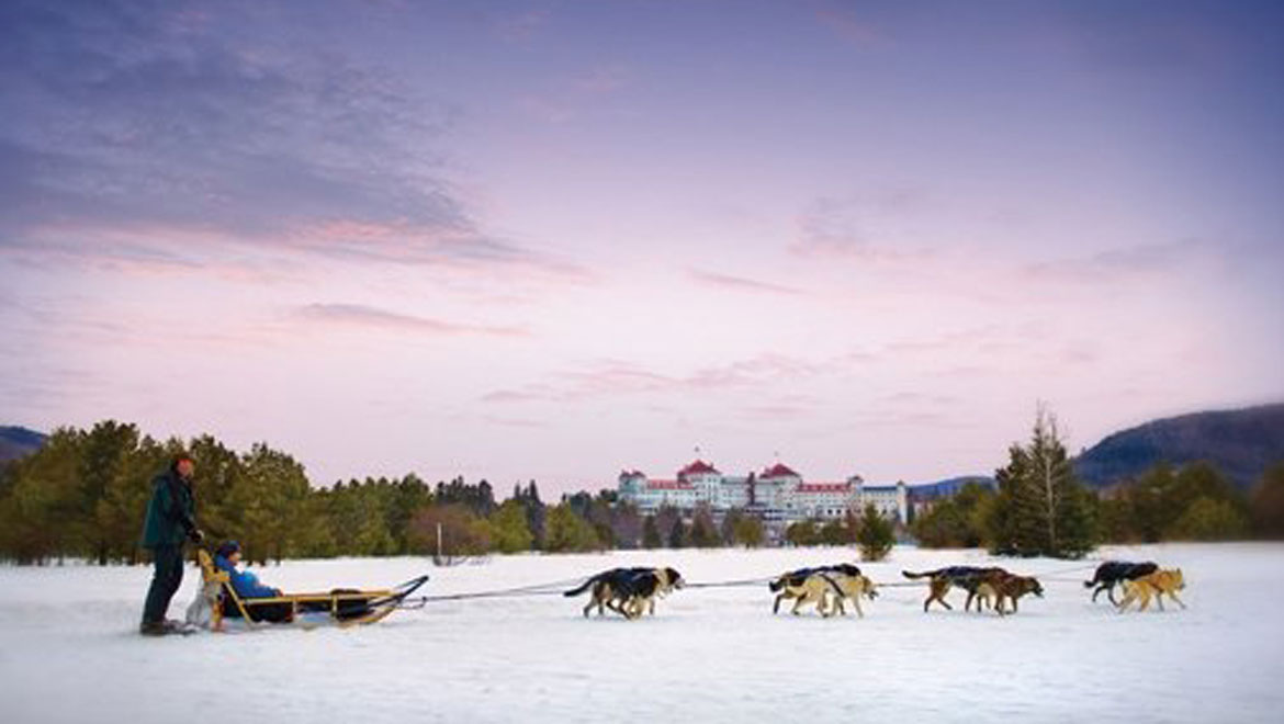 Sleigh dogs in Bretton Woods