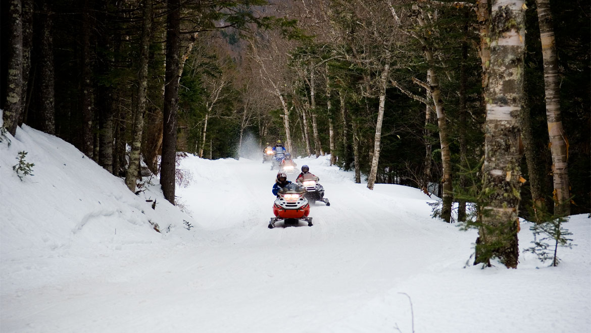 Snowmobiling in the woods at Mount Washington 