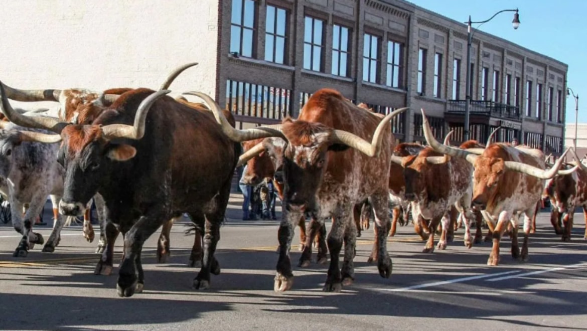 Stockyards