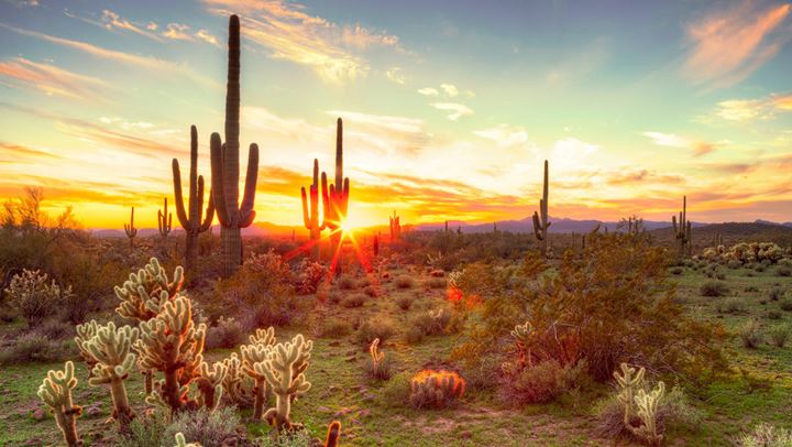 Sunset view of the open desert.