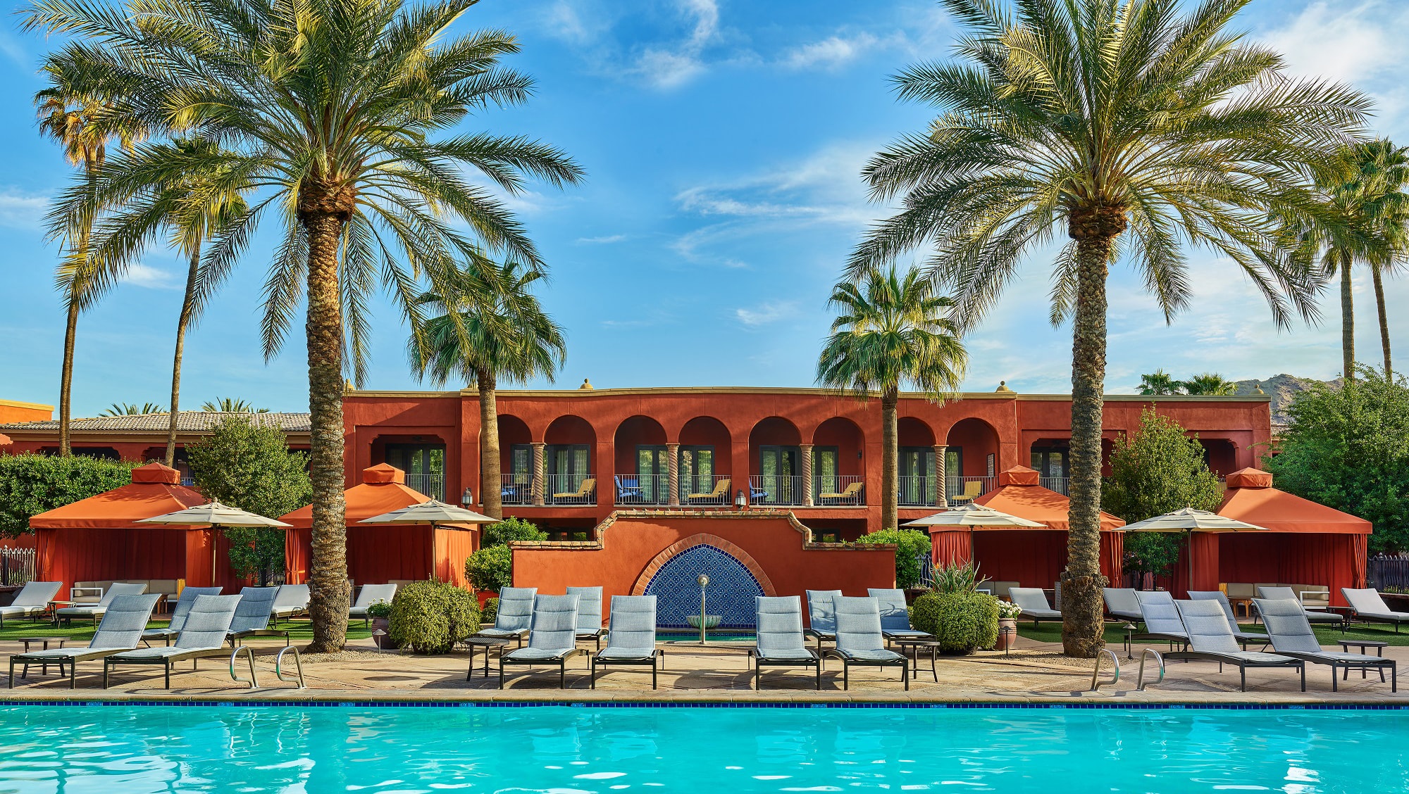 pool with palm trees near