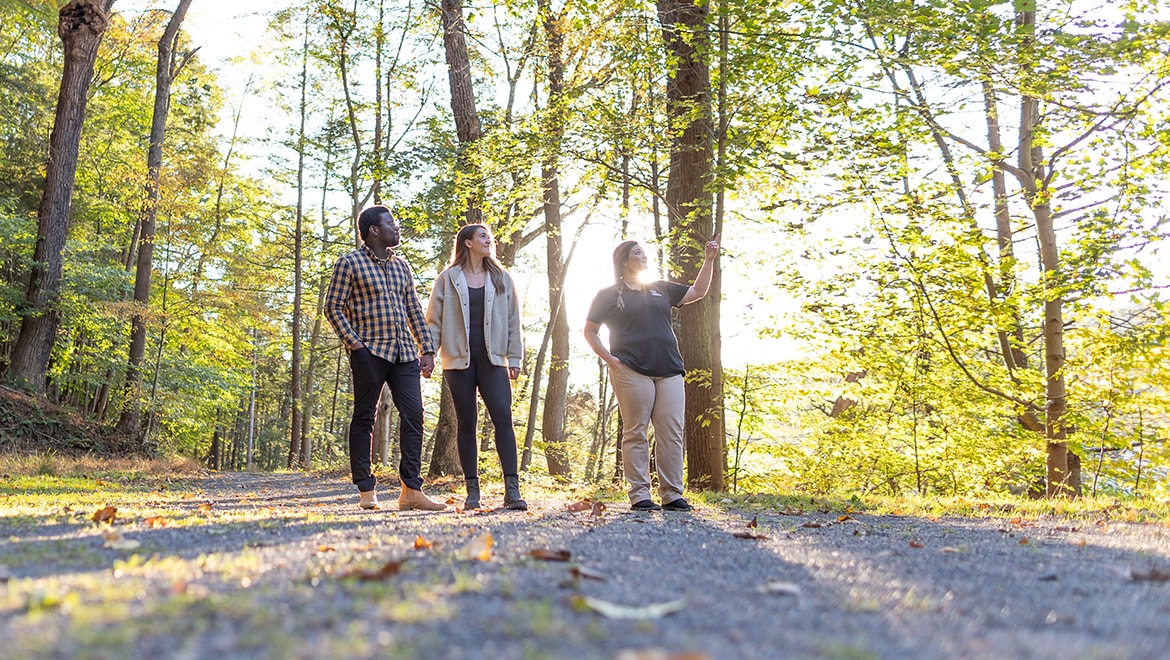 People hiking