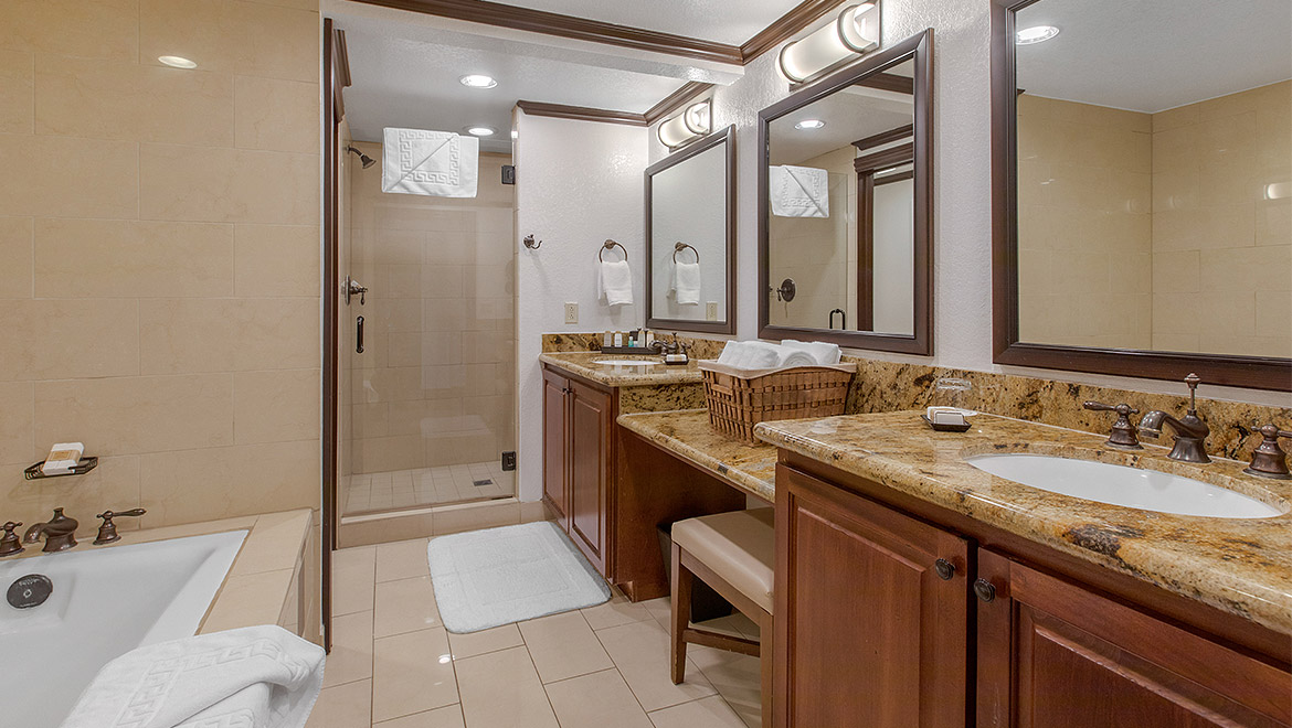 Luxury Suite Bathroom